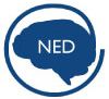 FUNDACI&Oacute;N NED