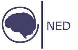 Fundación NED
